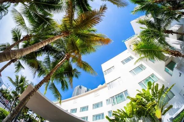 Miami Beach — Stok Foto