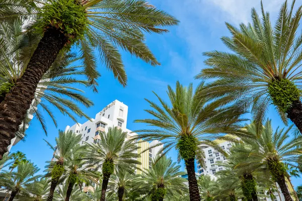 Strand von Miami — Stockfoto