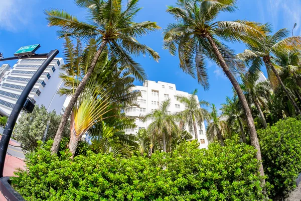 Miami Beach — Stock Photo, Image