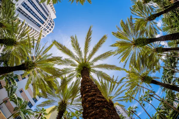 Miami Beach — Stock Photo, Image