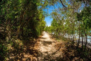 Güzel Karayip plajı