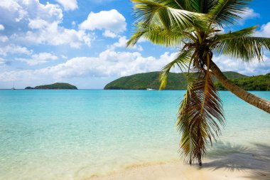 Güzel Karayip plajı