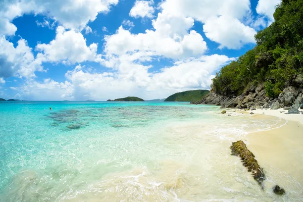 Belle plage des Caraïbes — Photo