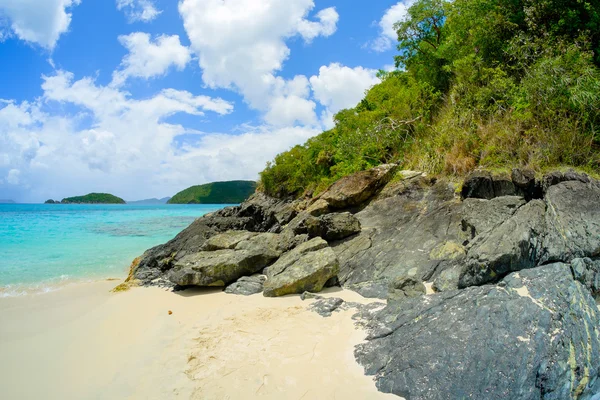 Güzel Karayip plajı