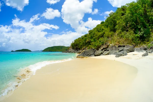 Bella spiaggia di caraibi — Foto Stock