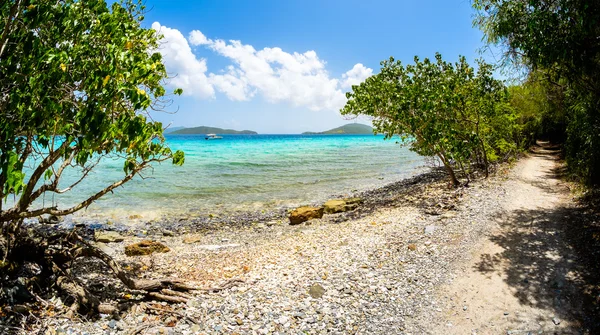 Schöner karibischer Strand — Stockfoto