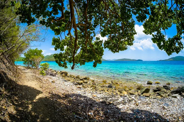 Bela praia caribenha — Fotografia de Stock