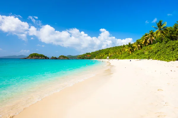 Vacker karibisk strand — Stockfoto