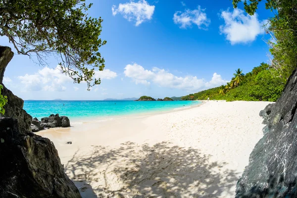 Plaja frumoasa din Caraibe — Fotografie, imagine de stoc