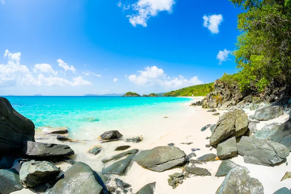 Bella spiaggia di caraibi — Foto Stock