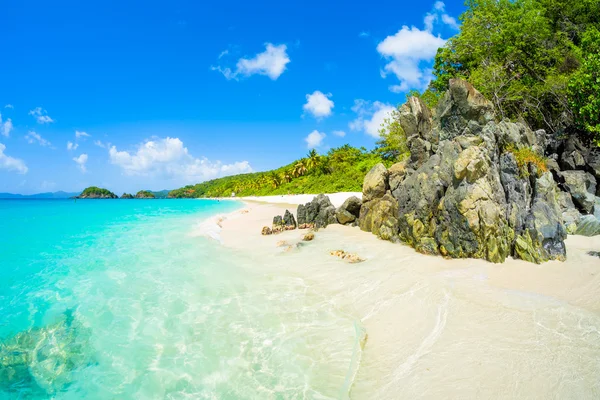 Schöner karibischer Strand — Stockfoto