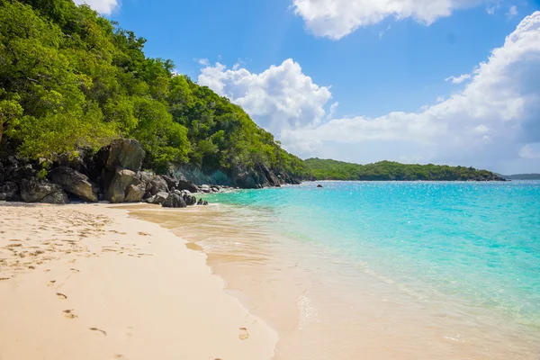 Güzel Karayip plajı