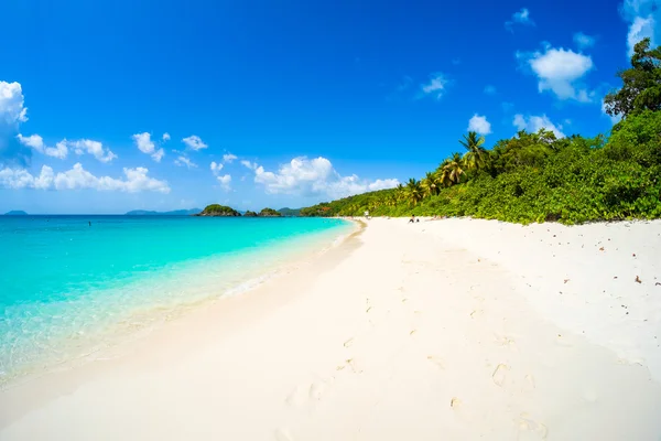 Güzel Karayip plajı