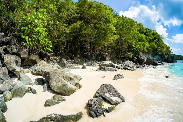 Bella spiaggia di caraibi — Foto Stock