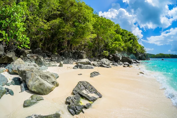 Hermosa playa caribeña —  Fotos de Stock