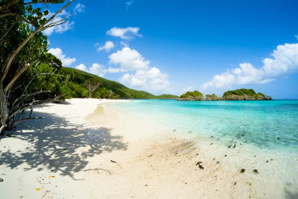 Prachtig caribisch strand — Stockfoto