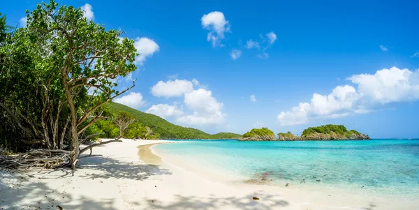 Beautiful Caribbean beach — Stock Photo, Image