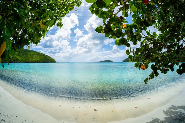 Prachtig caribisch strand — Stockfoto