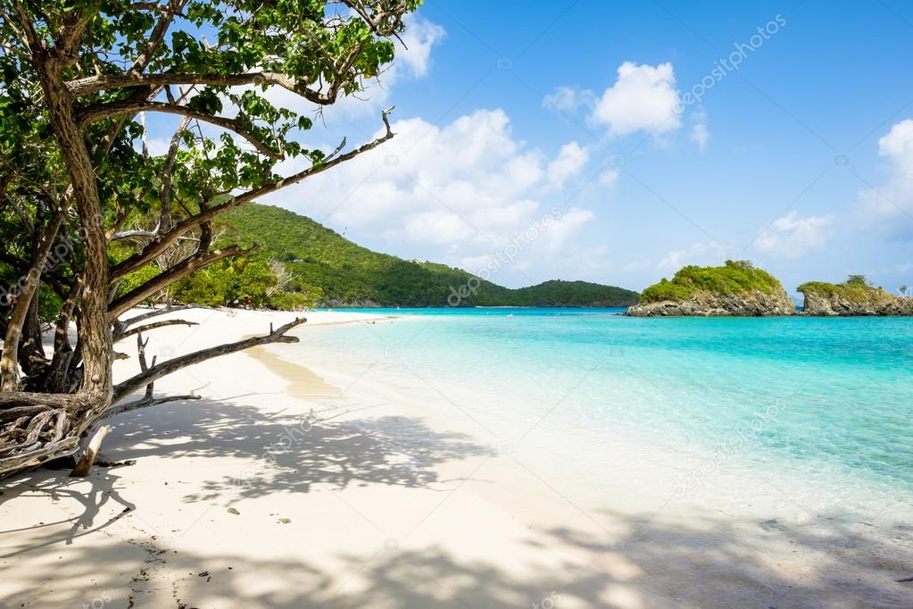 Beautiful Caribbean beach