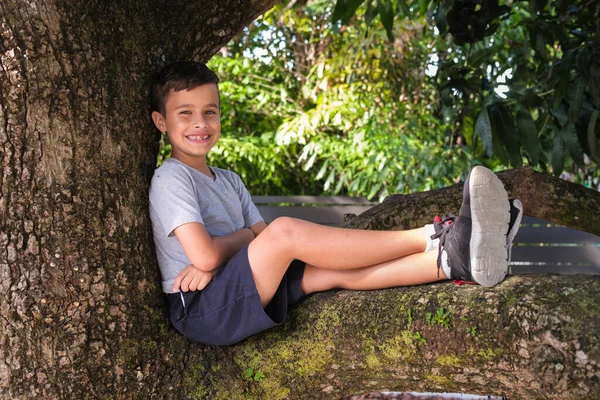Niedlichen Jungen Genießen Die Natur Sitzen Einem Baum — Stockfoto