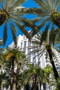 Miami, Florida USA - 6 Ocak 2022: Klasik sanat deco mimarisi ile Loews Oteli Güney Sahili 'ndeki Collins Bulvarı' nda popüler bir turizm merkezi..