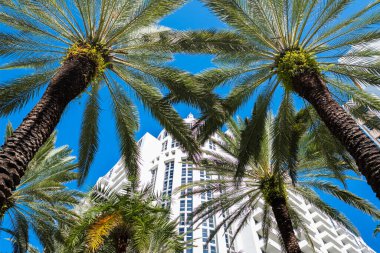 Miami, Florida USA - 6 Ocak 2022: Klasik sanat deco mimarisi ile Loews Oteli Güney Sahili 'ndeki Collins Bulvarı' nda popüler bir turizm merkezi..