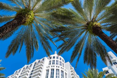 Miami, Florida USA - 6 Ocak 2022: Klasik sanat deco mimarisi ile Loews Oteli Güney Sahili 'ndeki Collins Bulvarı' nda popüler bir turizm merkezi..