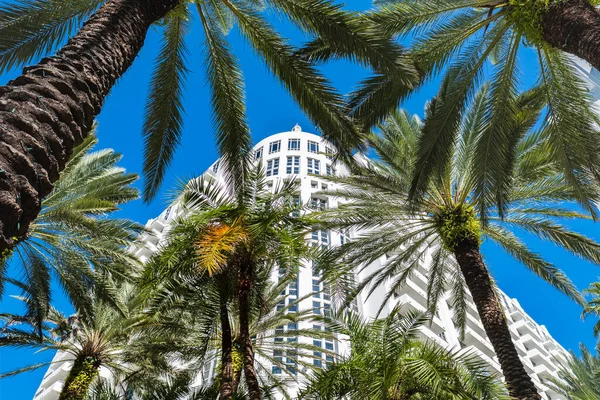 Miami Florida Usa Januar 2022 Das Loews Hotel Mit Klassischer — Stockfoto