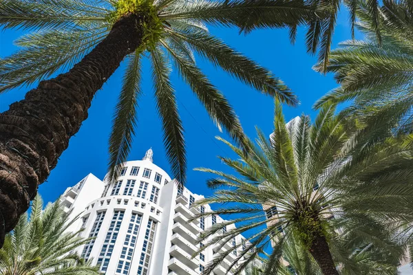 Miami Floryda Usa Stycznia 2022 Loews Hotel Klasyczną Architekturą Art — Zdjęcie stockowe