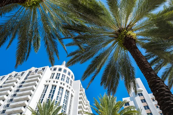 Miami, Florida USA - 6 Ocak 2022: Klasik sanat deco mimarisi ile Loews Oteli Güney Sahili 'ndeki Collins Bulvarı' nda popüler bir turizm merkezi..