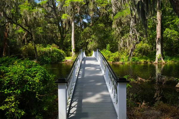 Belle Passerelle Piétonne Blanche Travers Une Rivière Dans Populaire Ville — Photo