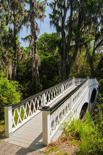 Beautiful White Pedestrian Bridge River Popular Southern Town Charleston South — Stock Photo, Image