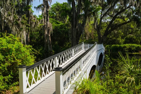 Güney Carolina Nın Popüler Güney Kasabası Charleston Nehrin Karşısındaki Güzel — Stok fotoğraf