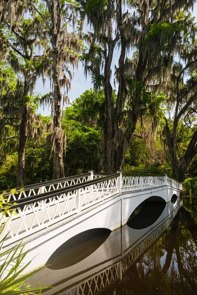 Hermoso Puente Peatonal Blanco Sobre Río Popular Ciudad Sureña Charleston —  Fotos de Stock