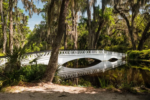 Hermoso Puente Peatonal Blanco Sobre Río Popular Ciudad Sureña Charleston —  Fotos de Stock