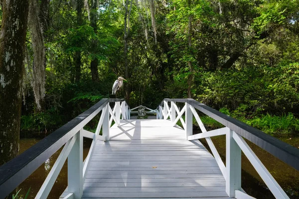 Beautiful white pedestrian bridge across a river in the popular southern town of Charleston in South Carolina