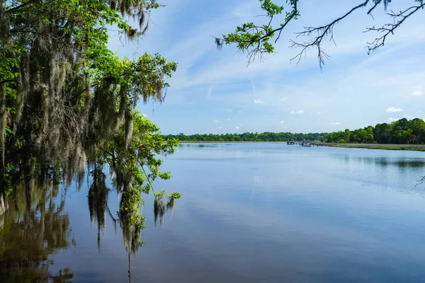 Hermosa Reserva Natural Charleston Carolina Del Sur —  Fotos de Stock