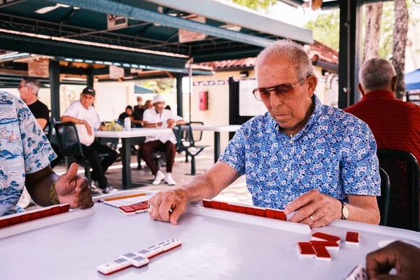 Miami Floryda Usa Czerwca 2022 Niezidentyfikowany Starszy Mężczyzna Gra Domino — Zdjęcie stockowe