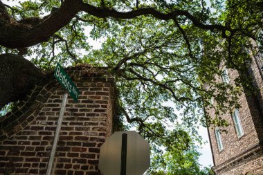 Güney Carolina, Charleston 'daki tarihi Fransız Mahallesi yerleşim bölgesi.