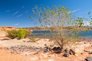The natural beauty of Sand Hollow State Park in Utah