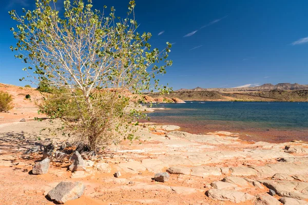 The natural beauty of Sand Hollow State Park in Utah