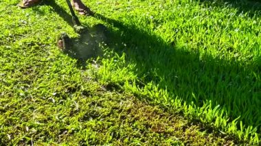 Çim biçmek bir çeşit bahçe işidir..