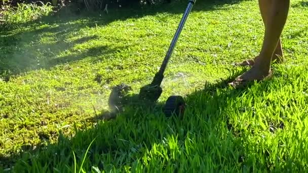 割草是一种园艺劳动 — 图库视频影像