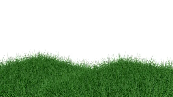 Gras Geïsoleerd Witte Achtergrond Weergave Illustratie — Stockfoto