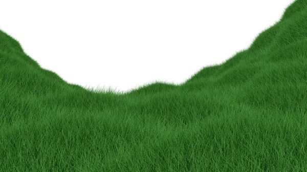 Gras Geïsoleerd Witte Achtergrond Weergave Illustratie — Stockfoto