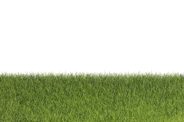 Grass Isolated White Background Rendering Illustration — Stock Photo, Image