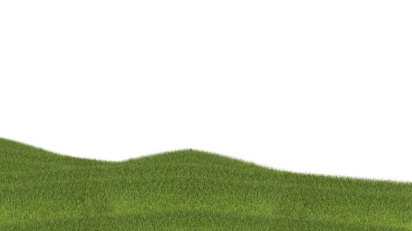 Трава Ізольована Білому Тлі Ілюстрація Рендеринга — стокове фото