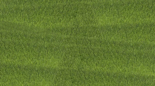 Fondo Hierba Verde Del Campo Fútbol — Foto de Stock