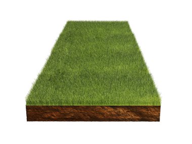 Grass isolated on white background. 3d rendering illustration.	