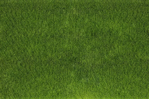 Fondo Hierba Verde Del Campo Fútbol — Foto de Stock